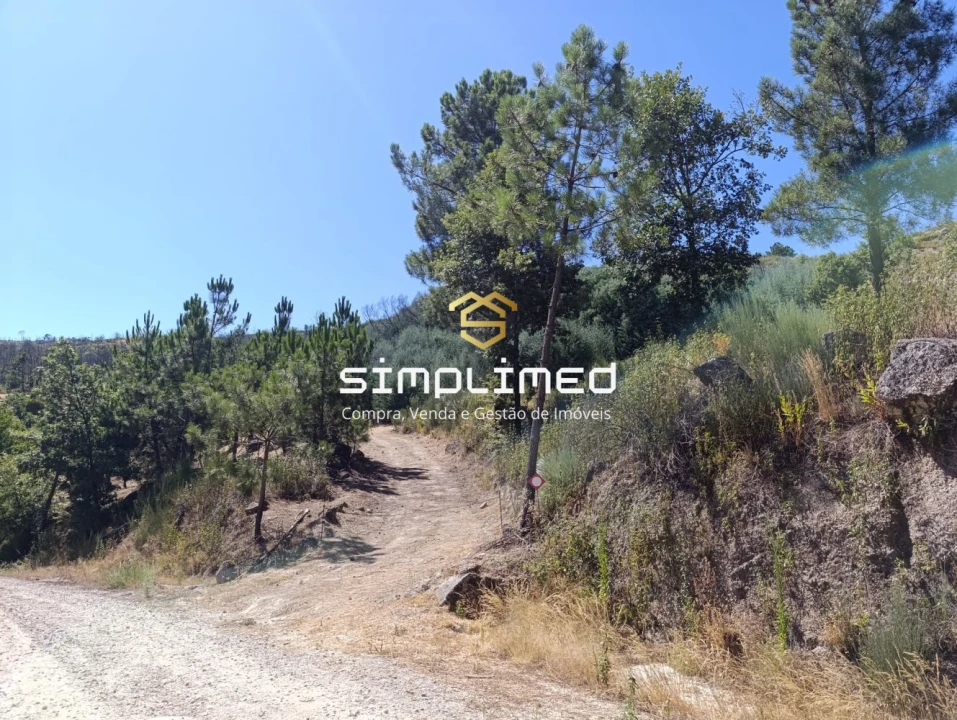 Terreno para Venda em Orjais Foto 14