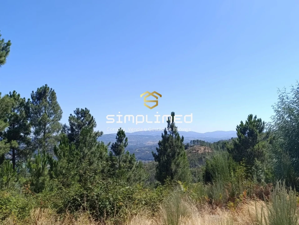 Terreno para Venda em Orjais Foto 4