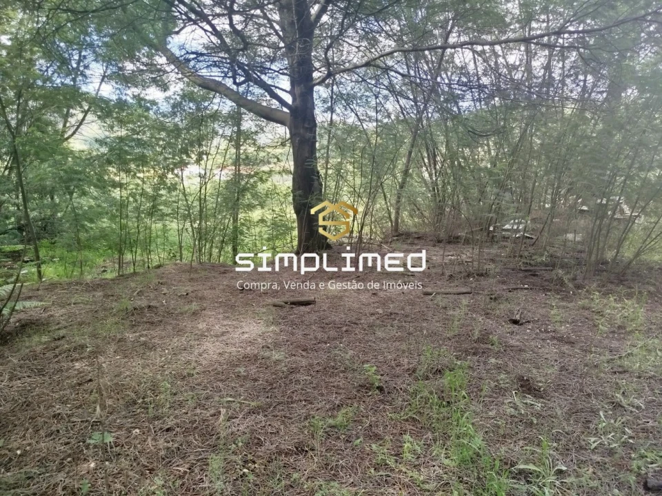 Terreno para Venda em Teixoso e Sarzedo Foto 24