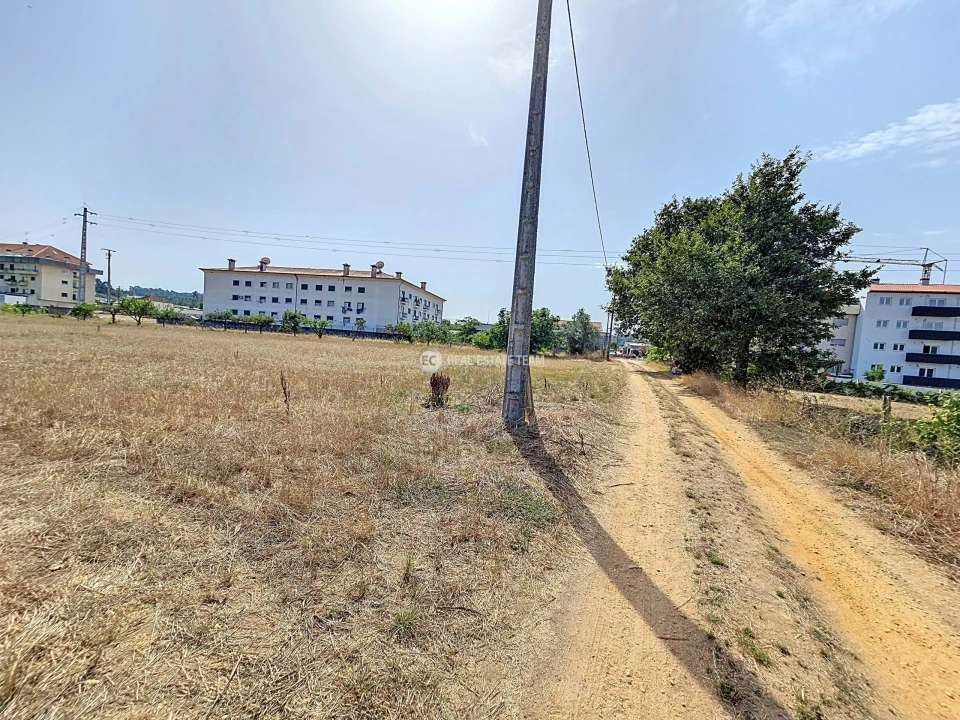 Terreno para Venda em Oiã Foto 7