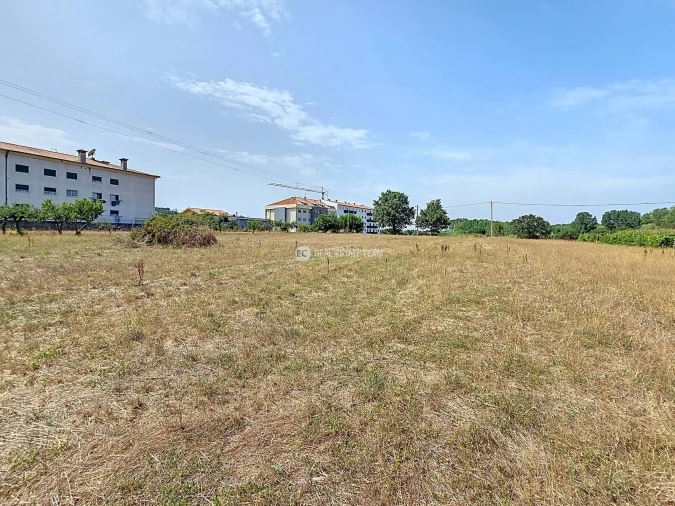 Terreno para Venda em Oiã Foto 9