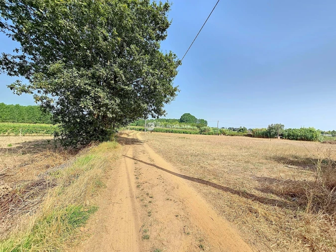 Terreno para Venda em Oiã Foto 3