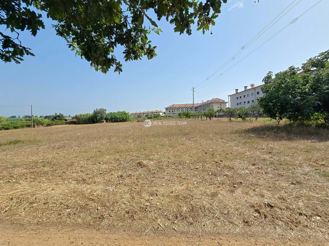 Terreno para Venda em Oiã Foto 4