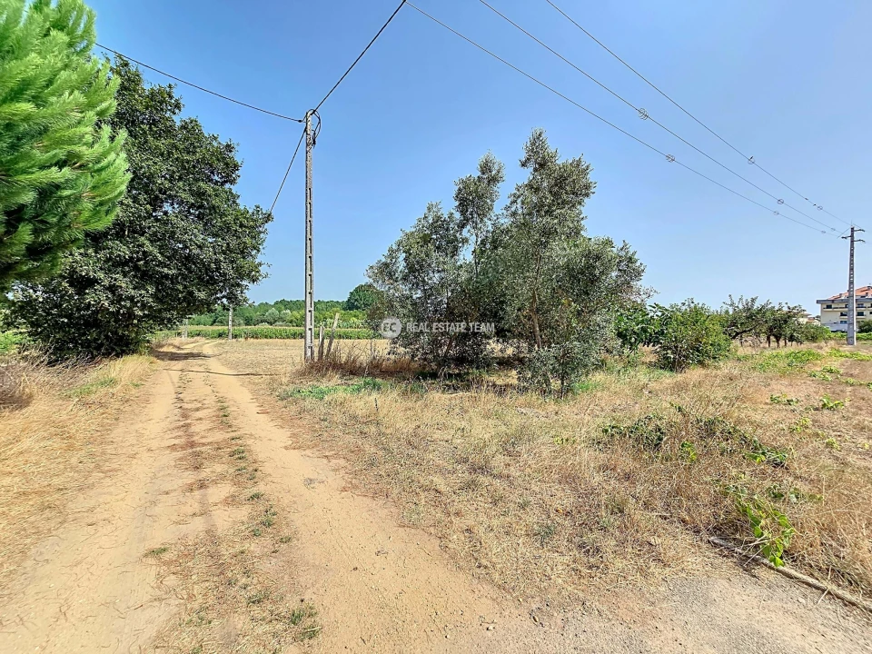 Terreno para Venda em Oiã Foto 2