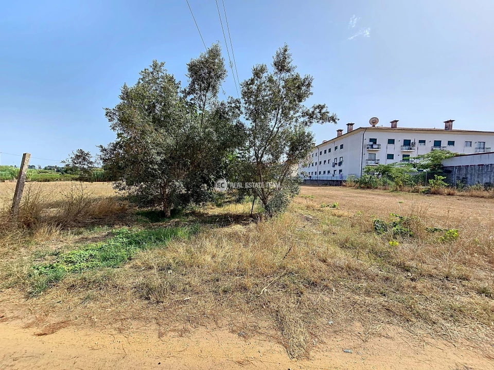 Terreno para Venda em Oiã Foto 1