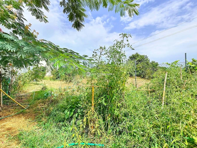 Moradia T4 para Venda em Oiã Foto 38