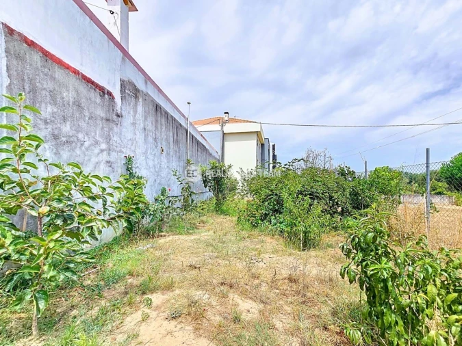 Moradia T4 para Venda em Oiã Foto 37