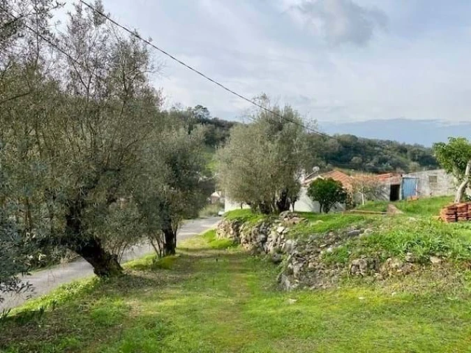 Moradia T3 para Venda em Aljubarrota Foto 8