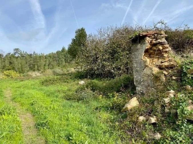 Moradia T3 para Venda em Aljubarrota Foto 13