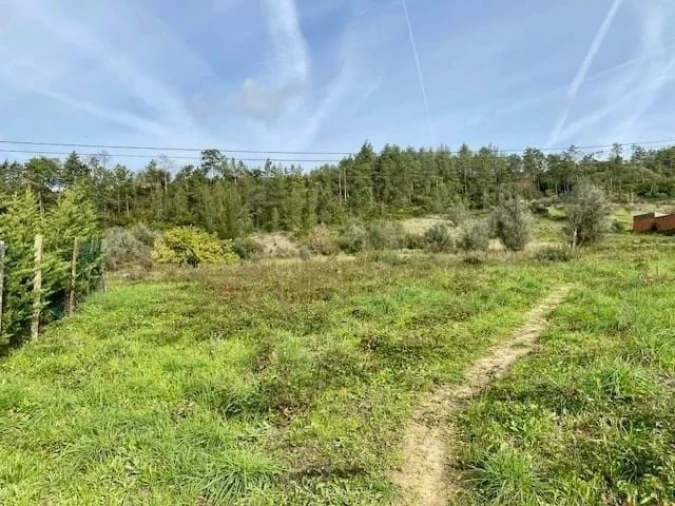 Moradia T3 para Venda em Aljubarrota Foto 3