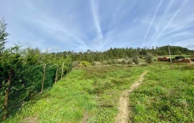 Moradia T3 para Venda em Aljubarrota Foto 14