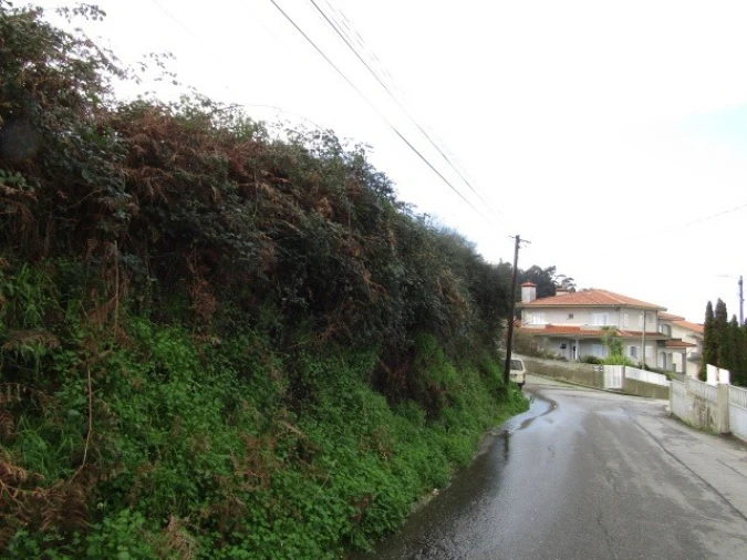 Terreno para Venda em São Miguel do Souto e Mosteirô Foto 4