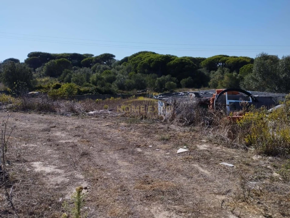 Terreno Agricola ou Rústico para Venda em Agualva e Mira-Sintra Foto 3