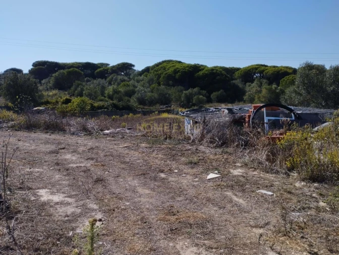 Terreno Agricola ou Rústico para Venda em Agualva e Mira-Sintra Foto 3