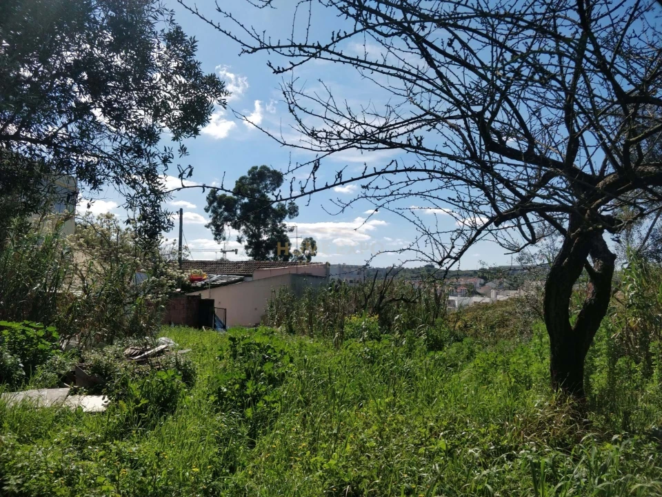 Terreno Agricola ou Rústico para Venda em Camarate, Unhos e Apelação Foto 1