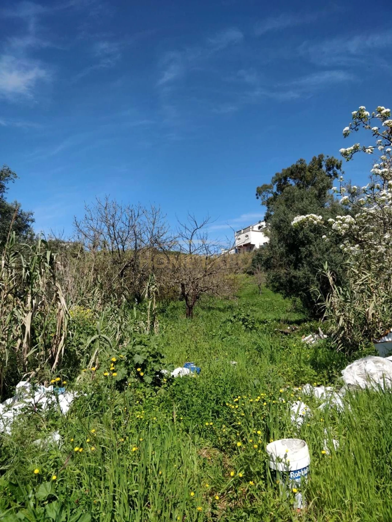 Terreno Agricola ou Rústico para Venda em Camarate, Unhos e Apelação Foto 4