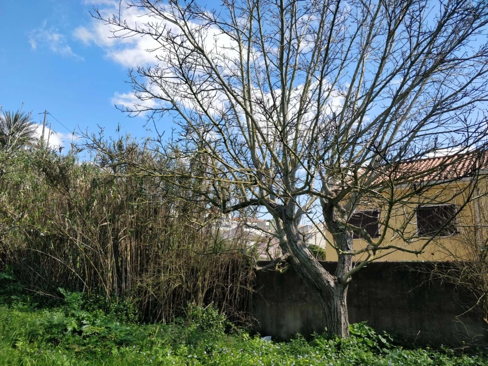 Terreno Agricola ou Rústico para Venda em Camarate, Unhos e Apelação Foto 7
