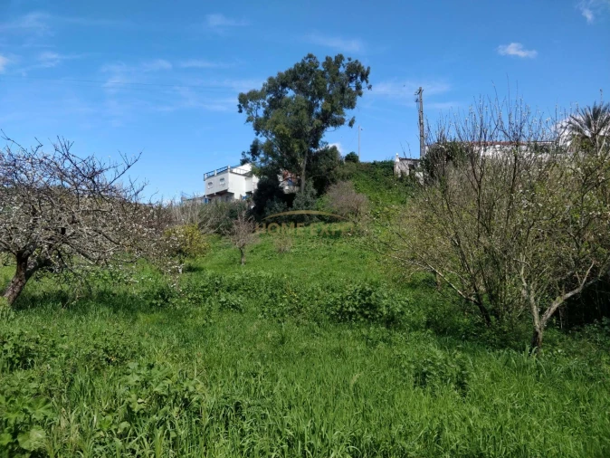 Terreno Agricola ou Rústico para Venda em Camarate, Unhos e Apelação Foto 3