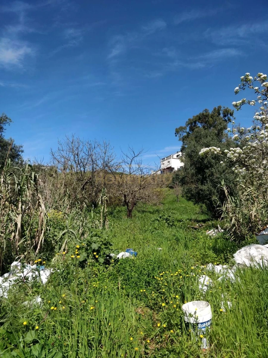 Terreno Agricola ou Rústico para Venda em Camarate, Unhos e Apelação Foto 4
