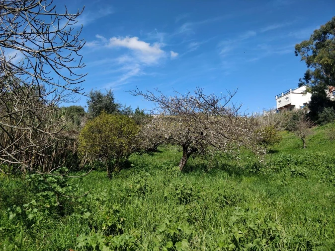 Terreno Agricola ou Rústico para Venda em Camarate, Unhos e Apelação Foto 5