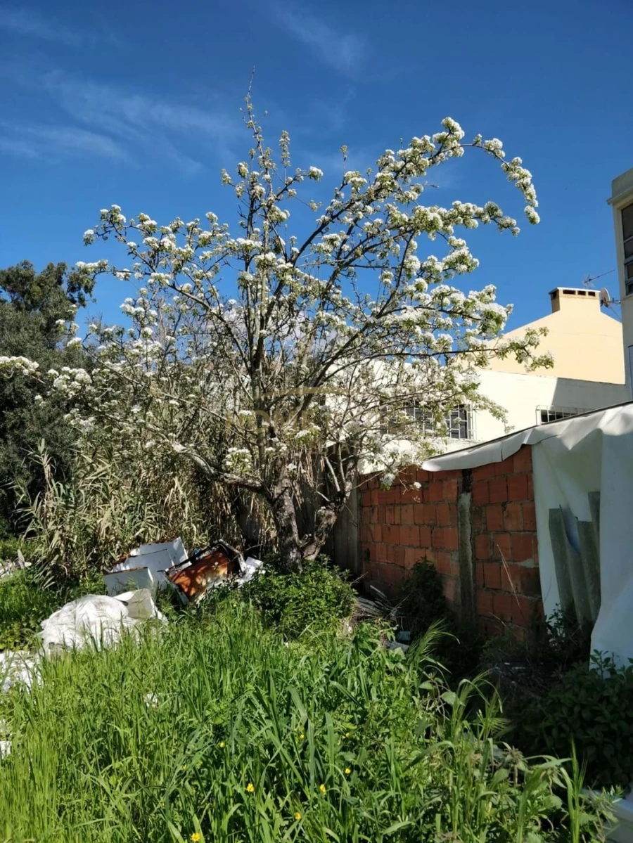 Terreno Agricola ou Rústico para Venda em Camarate, Unhos e Apelação Foto 2