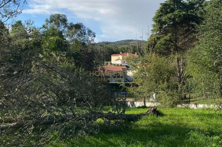 Moradia T5 para Venda em Agualva e Mira-Sintra Foto 55