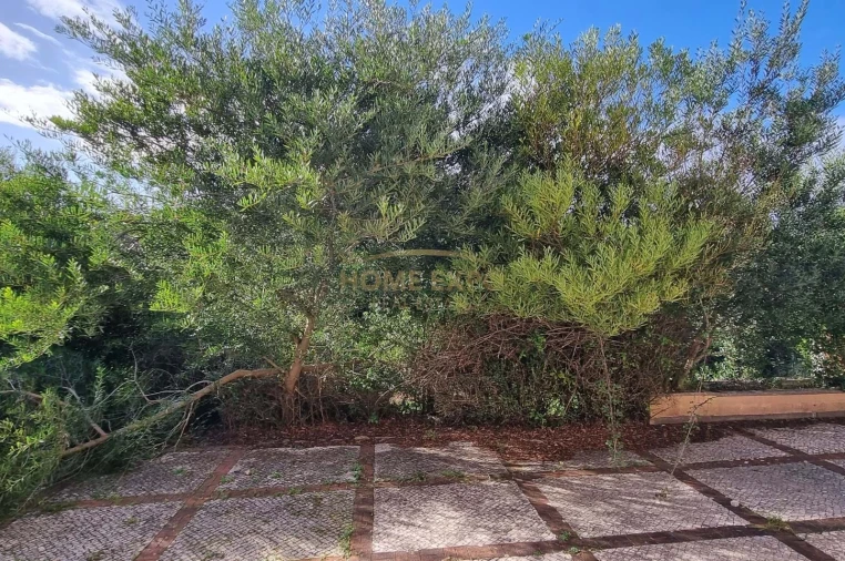 Moradia T5 para Venda em Agualva e Mira-Sintra Foto 26