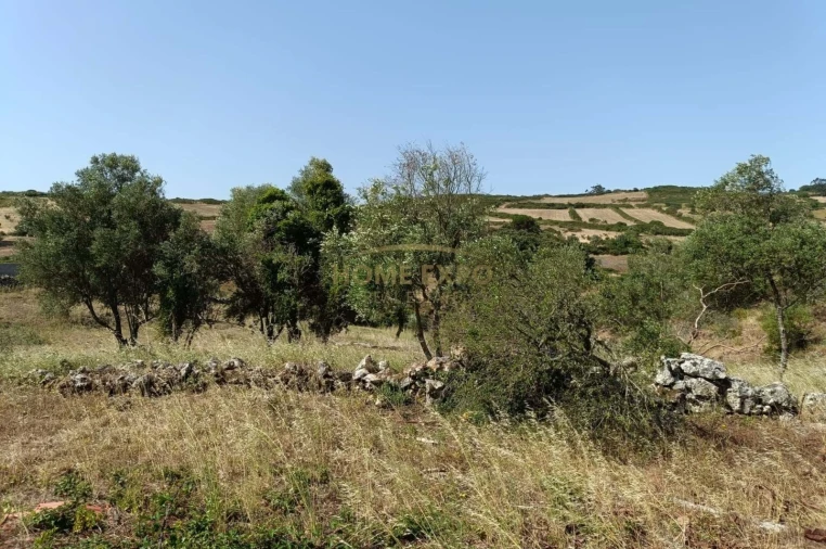 Terreno para Venda em Fanhões Foto 6