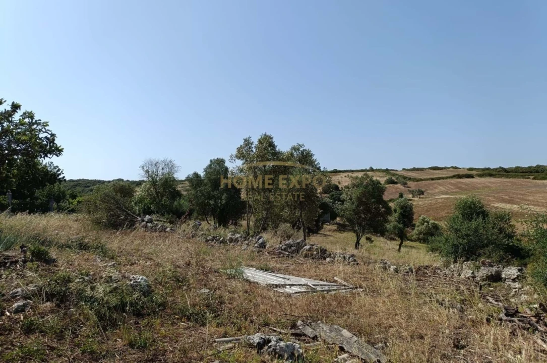 Terreno para Venda em Fanhões Foto 7