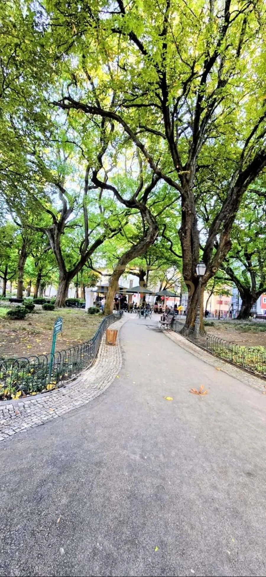 Apartamento T2 para Venda em Santo António Foto 15
