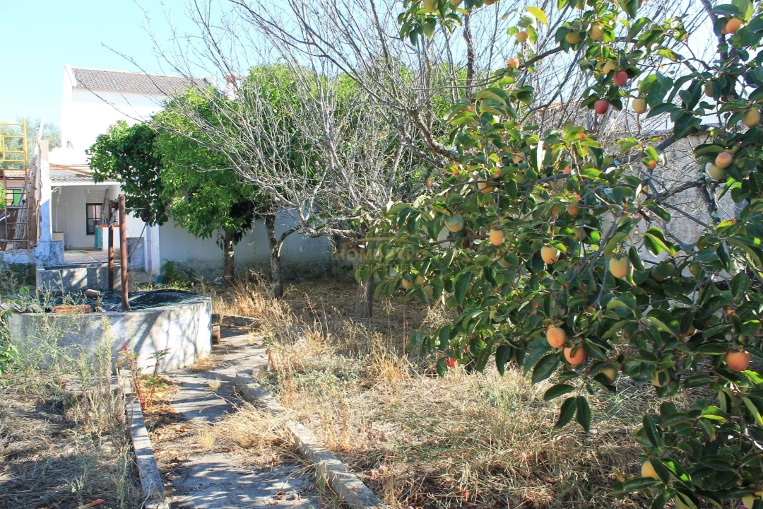 Moradia T2 para Venda em Grândola e Santa Margarida da Serra Foto 44