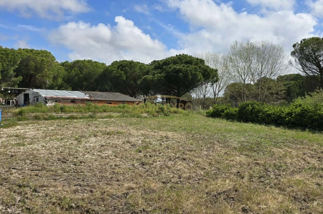 Quinta T4 para Venda em Grândola e Santa Margarida da Serra Foto 30