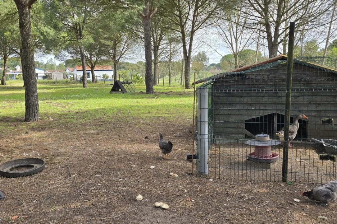 Quinta T4 para Venda em Grândola e Santa Margarida da Serra Foto 42