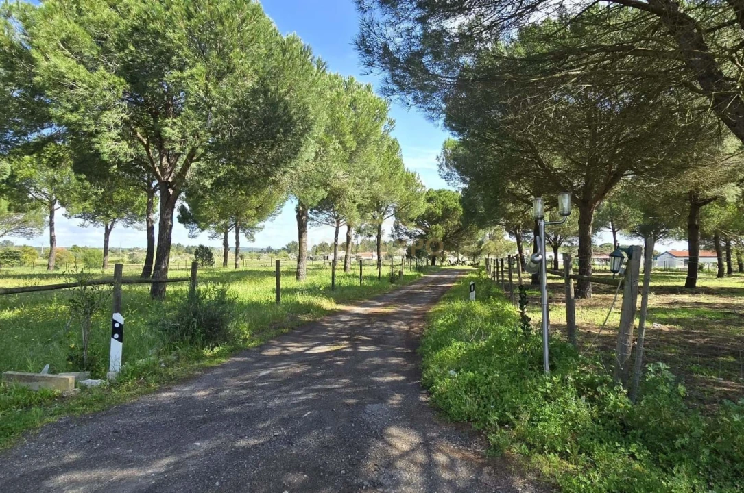 Quinta T4 para Venda em Grândola e Santa Margarida da Serra Foto 23