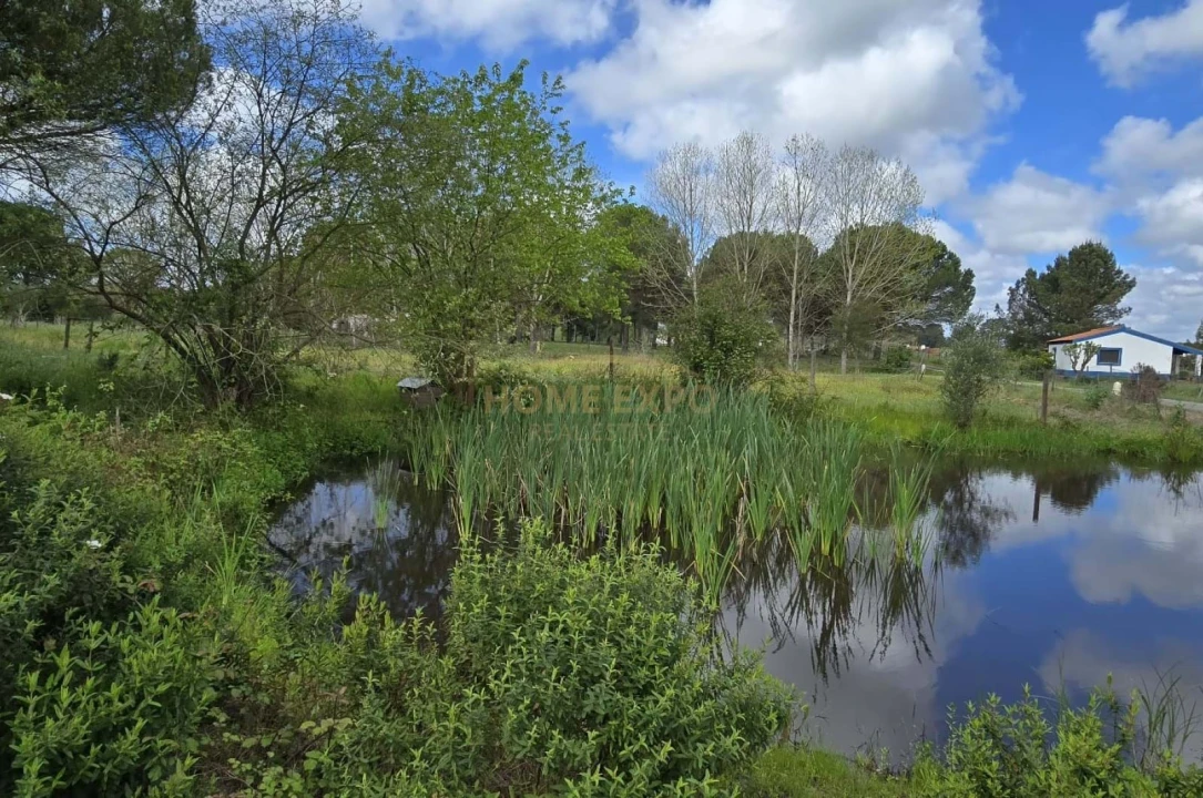 Quinta T4 para Venda em Grândola e Santa Margarida da Serra Foto 39