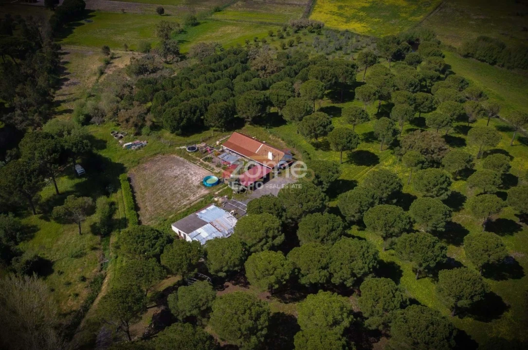 Quinta T4 para Venda em Grândola e Santa Margarida da Serra Foto 51