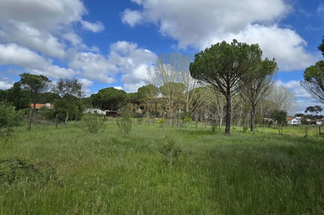 Quinta T4 para Venda em Grândola e Santa Margarida da Serra Foto 38