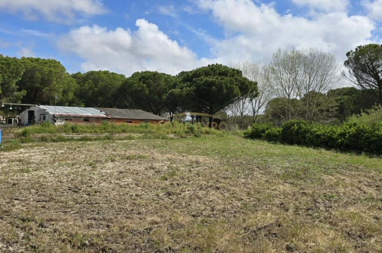 Quinta T4 para Venda em Grândola e Santa Margarida da Serra Foto 30