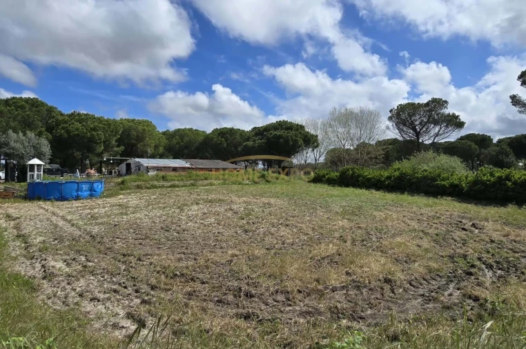 Quinta T4 para Venda em Grândola e Santa Margarida da Serra Foto 29