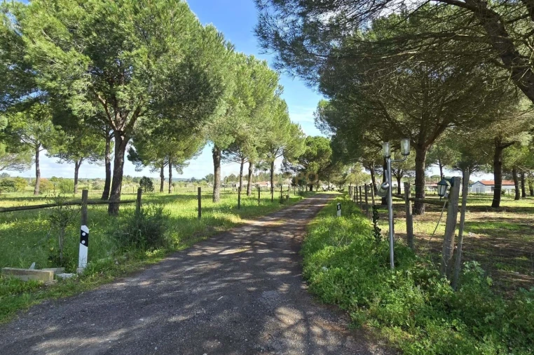 Quinta T4 para Venda em Grândola e Santa Margarida da Serra Foto 23