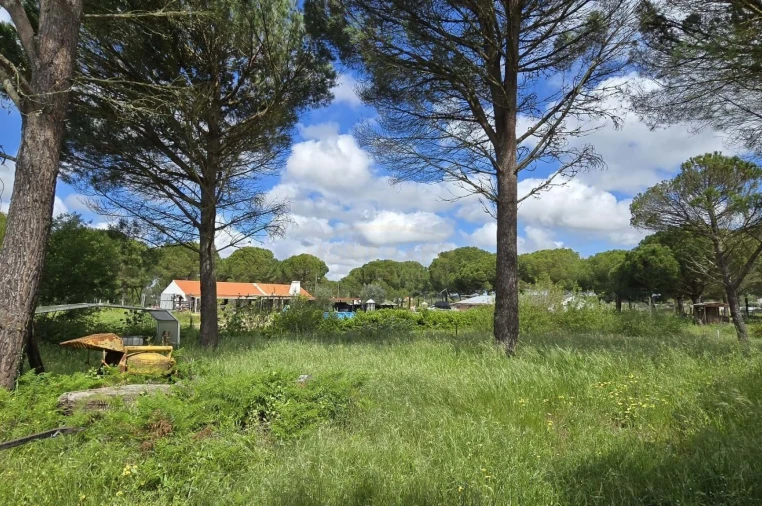 Quinta T4 para Venda em Grândola e Santa Margarida da Serra Foto 31
