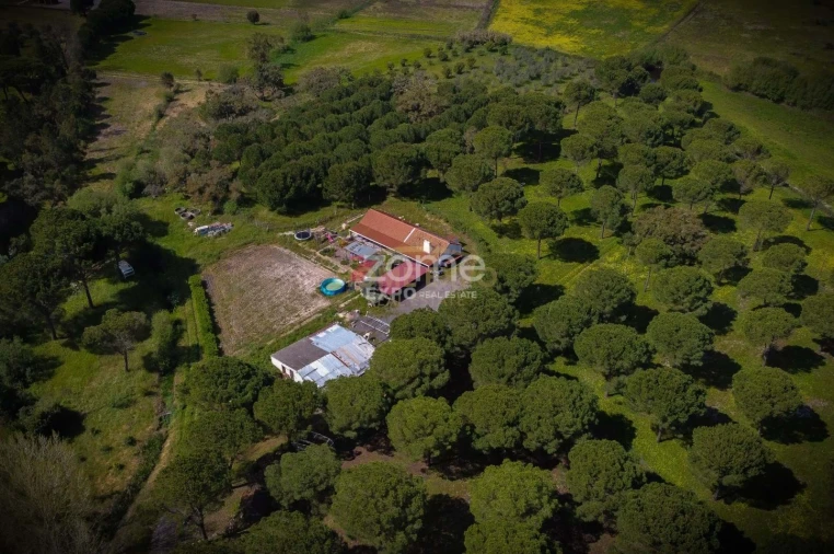 Quinta T4 para Venda em Grândola e Santa Margarida da Serra Foto 51