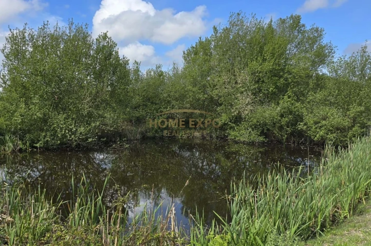Quinta T4 para Venda em Grândola e Santa Margarida da Serra Foto 25