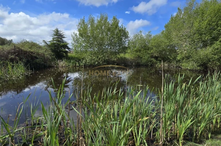 Quinta T4 para Venda em Grândola e Santa Margarida da Serra Foto 26