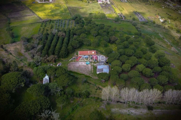 Quinta T4 para Venda em Grândola e Santa Margarida da Serra Foto 52