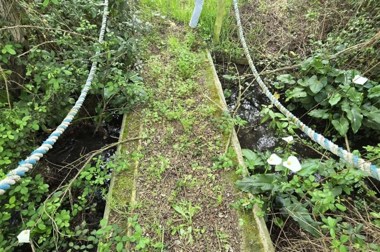 Quinta T4 para Venda em Grândola e Santa Margarida da Serra Foto 34