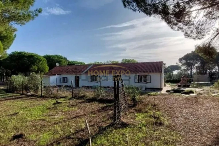 Quinta T4 para Venda em Grândola e Santa Margarida da Serra Foto 3