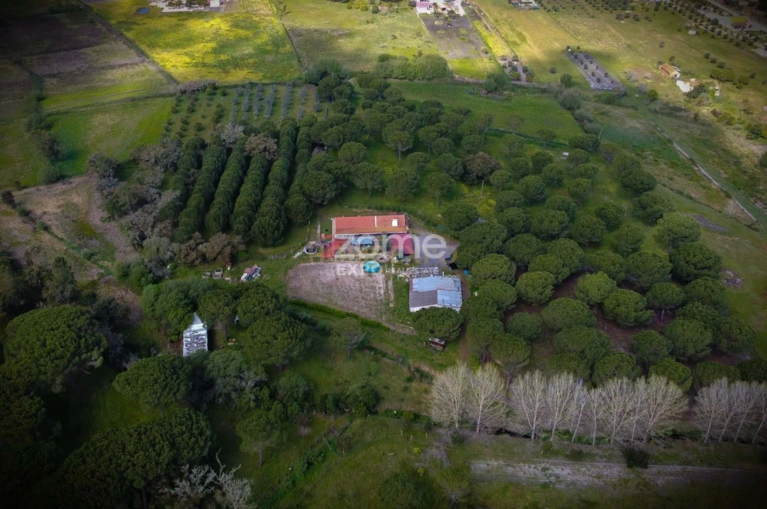 Quinta T4 para Venda em Grândola e Santa Margarida da Serra Foto 52