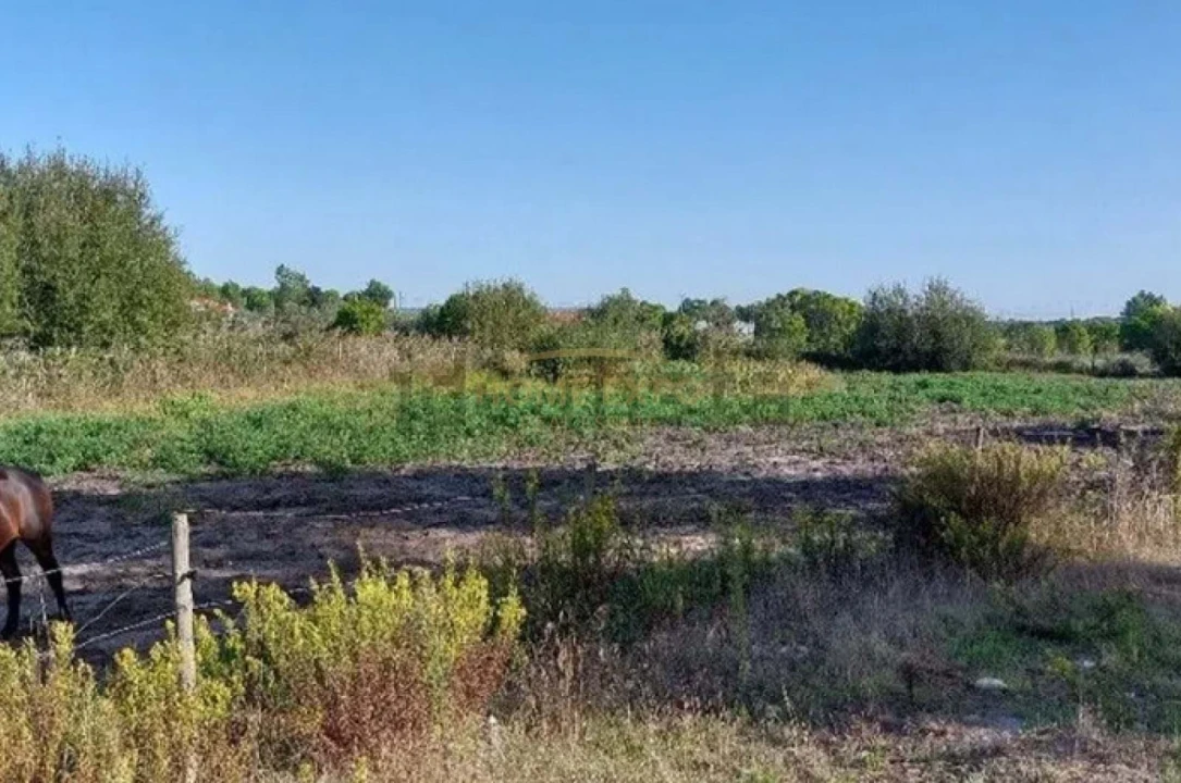 Quinta T4 para Venda em Grândola e Santa Margarida da Serra Foto 6
