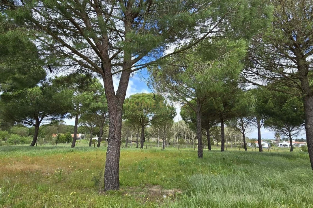 Quinta T4 para Venda em Grândola e Santa Margarida da Serra Foto 37